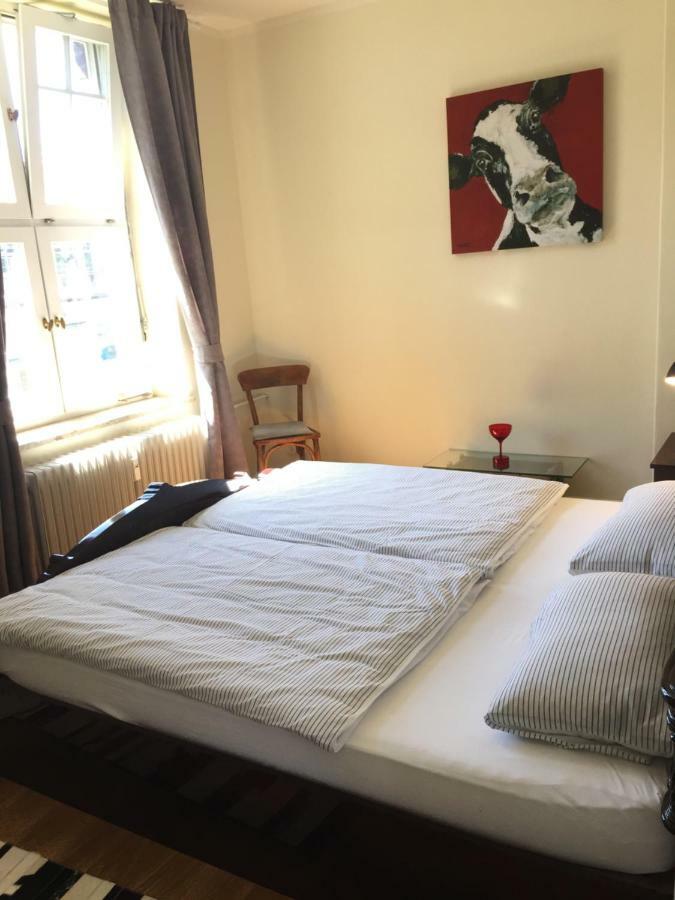 Trash De Luxe Apartman Schleswig Kültér fotó